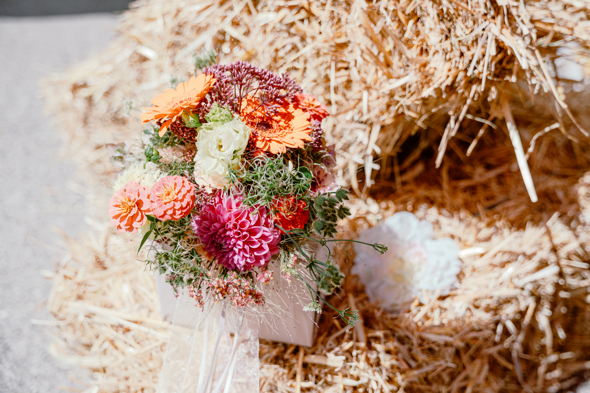 MARIAGE_DUNIA_FRANCOIS