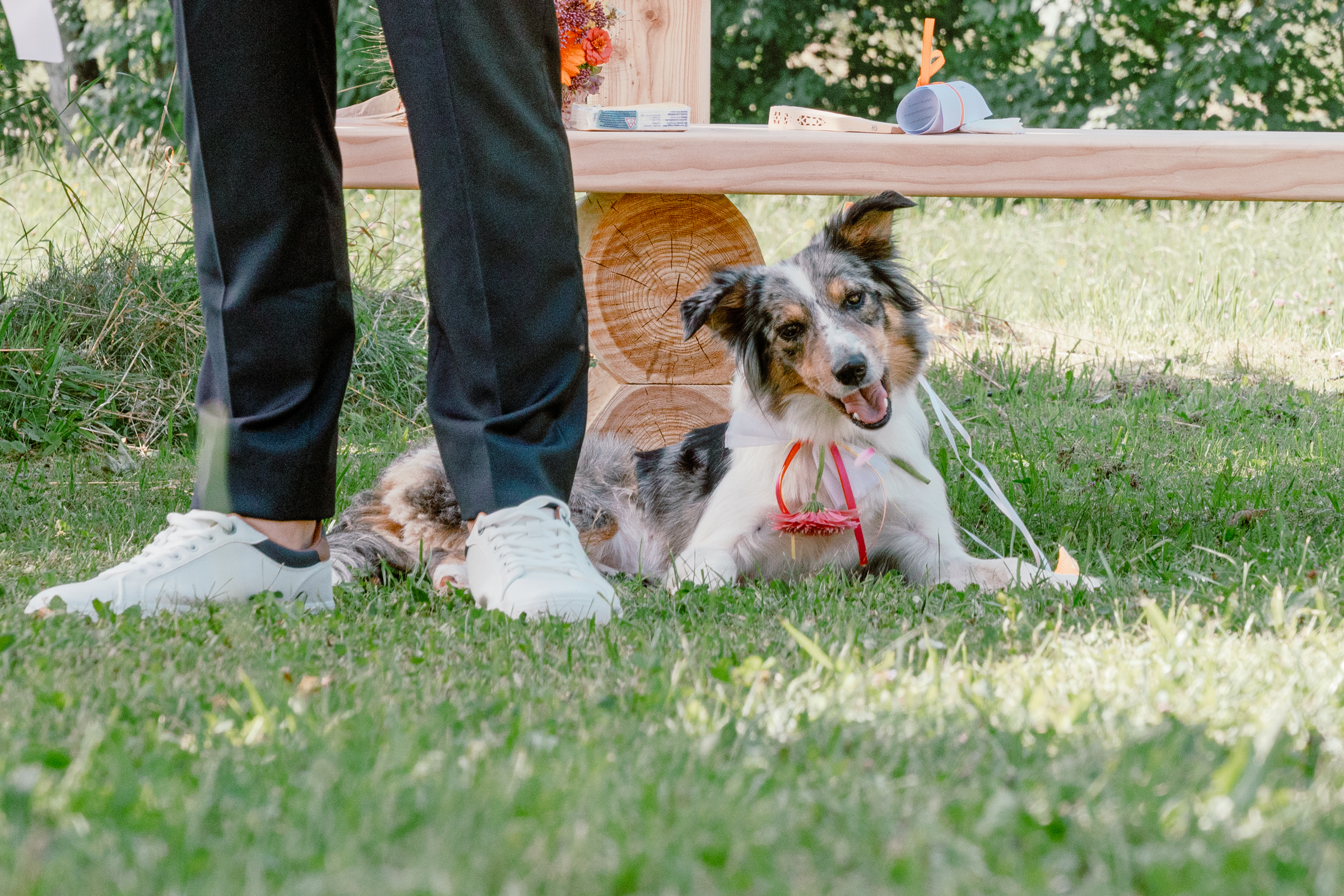 MARIAGE_DUNIA_FRANCOIS